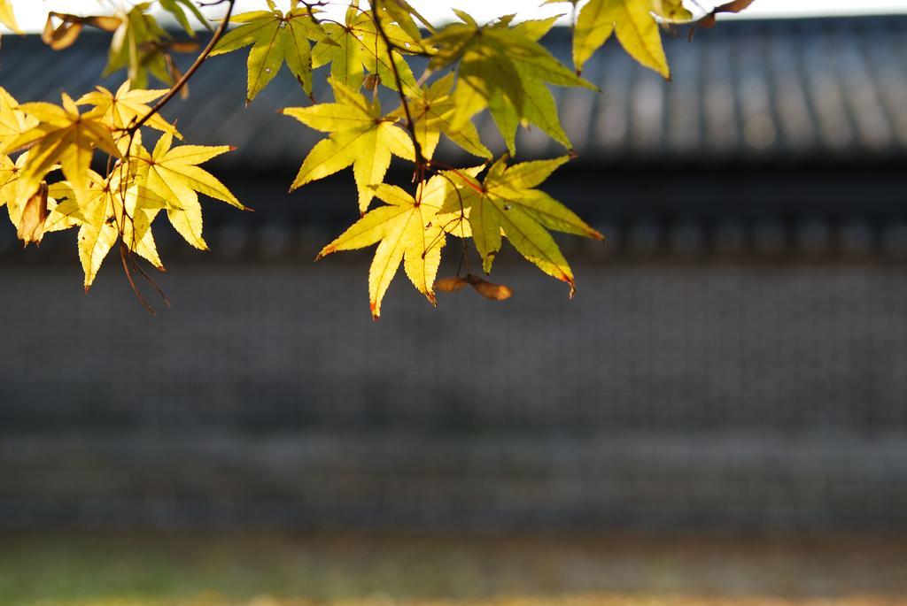 Sodam Hanok Seoul